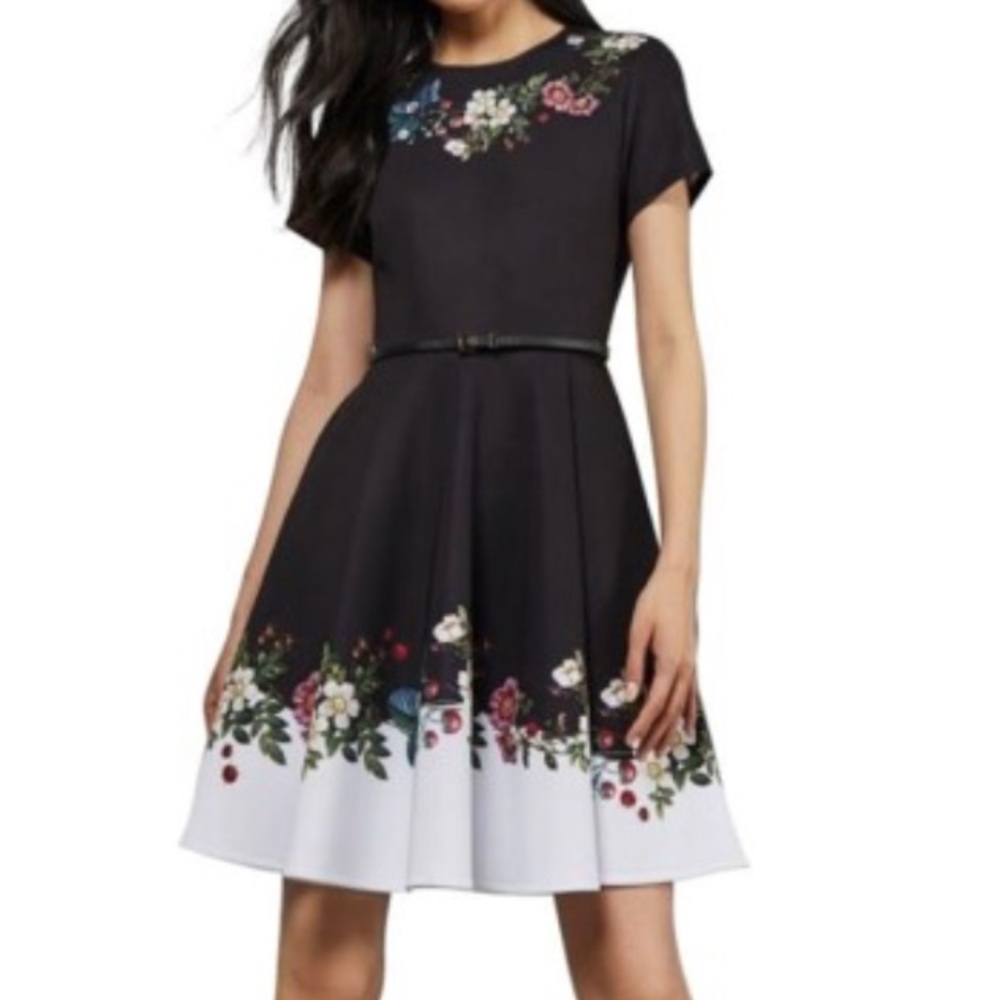 Ted Baker Chestna Oracle Skater Dress 4/6 Black Floral Stretch Short Sleeve